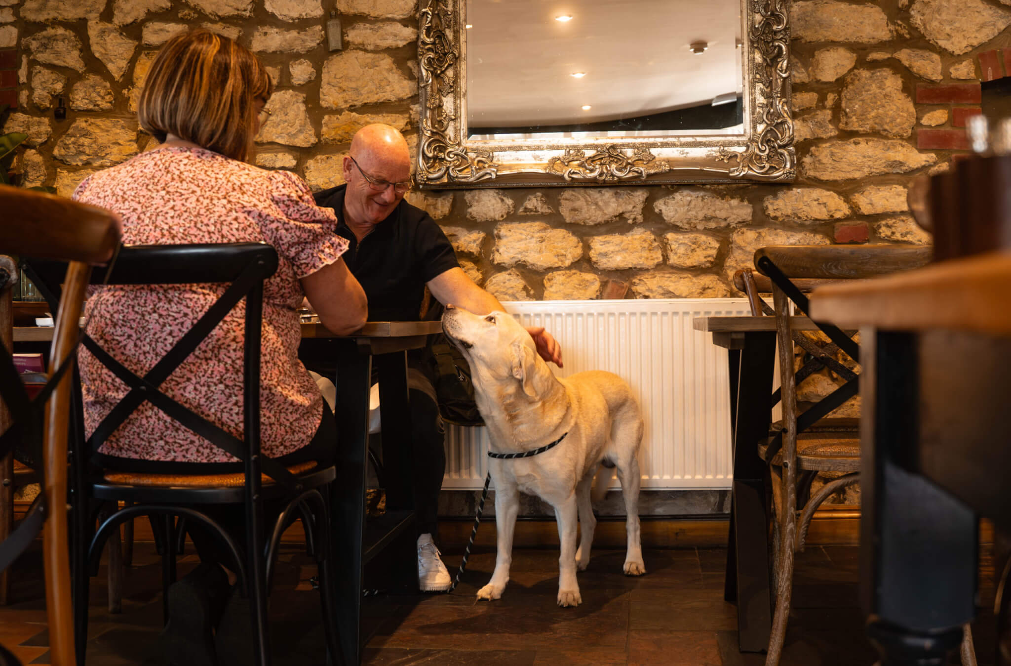 meet the team about scaled